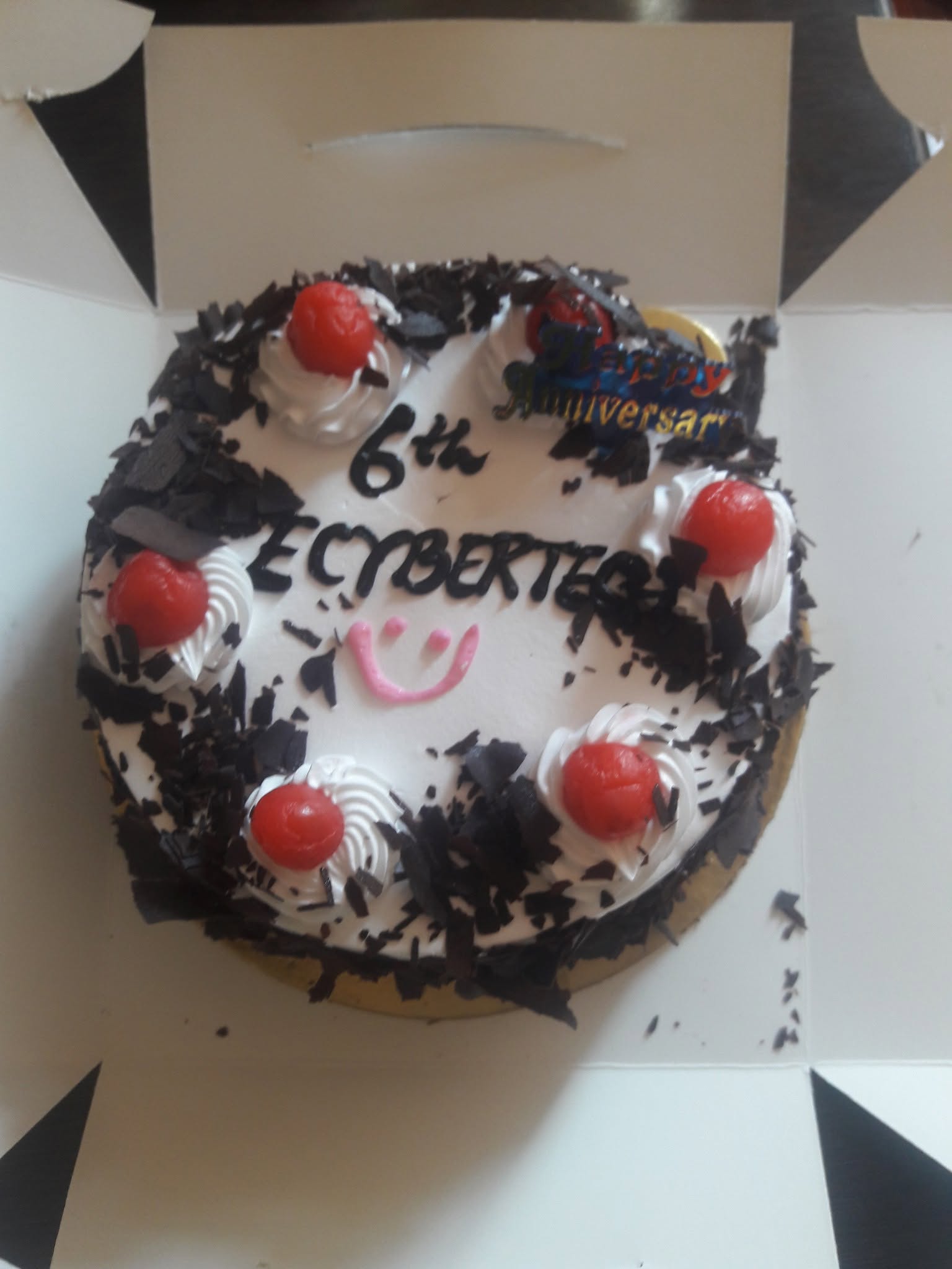 Life at E-Cybertech Solution — Jodhpur software company (photo 52)
